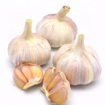 Garlic Granules White Dried Garlic Hot Level Garlic Dehydrated Garlic