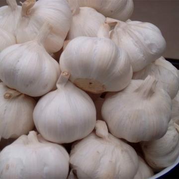 White Garlic In Brine