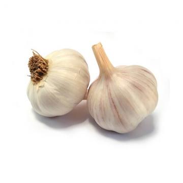 Natural Fresh White Garlic Wholesales