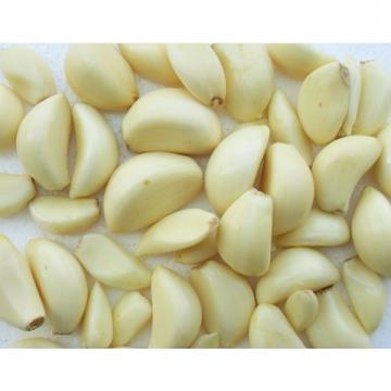 Top Quality Frozen Peeled Garlic Cloves