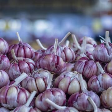 Garlic Fresh Vegetables Red Garlic