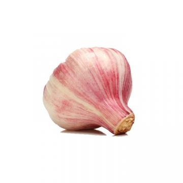 Frozen Red Garlic