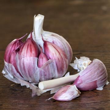 High Quality Fresh Red Garlic  Wholesale Garlic Price