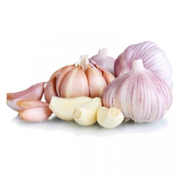 Big Garlic Purple Garlic With Cheap Price Made by China