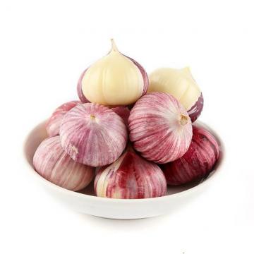 Fresh Garlic Single Clove