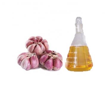 Bulk Garlic Wholesale