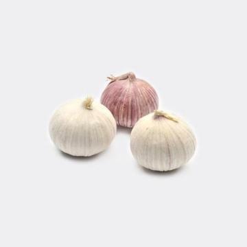 China Factory Single Clove Garlic Price