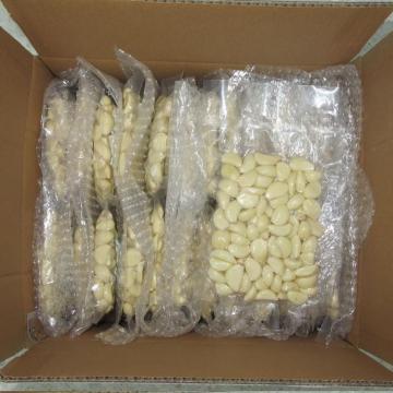 Export New Crop White Peeled Garlic