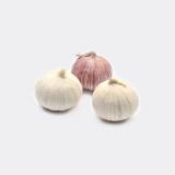 Single Clove Garlic Vacuumize Packing